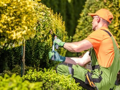 what-does-landscape-maintenance-for-a-property-include-f